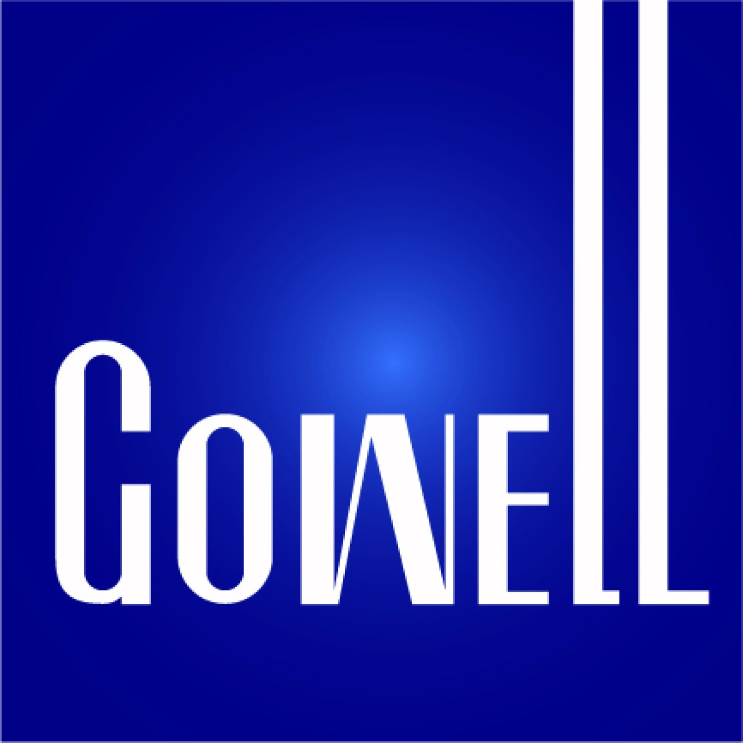 GOWell Oilfield Technology FZE