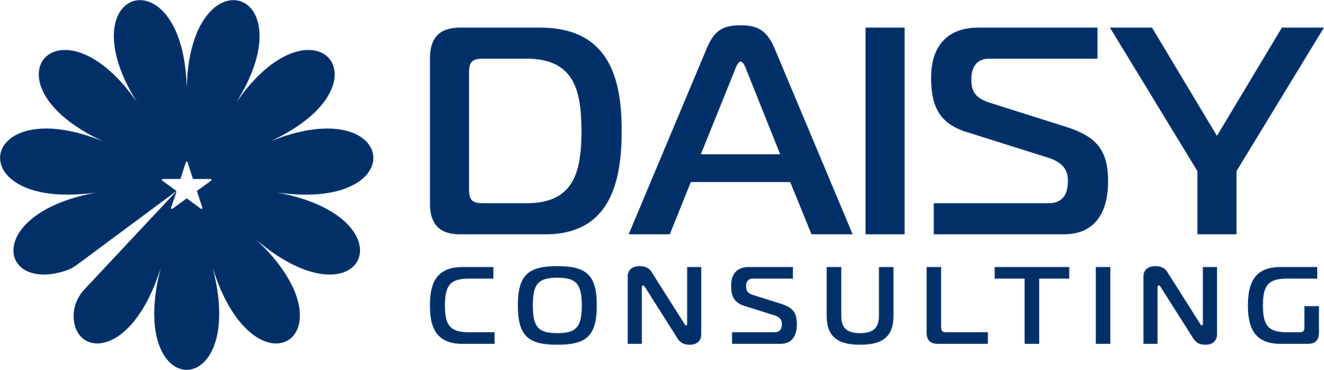Daisy Consulting, Daisy Consulting (France)