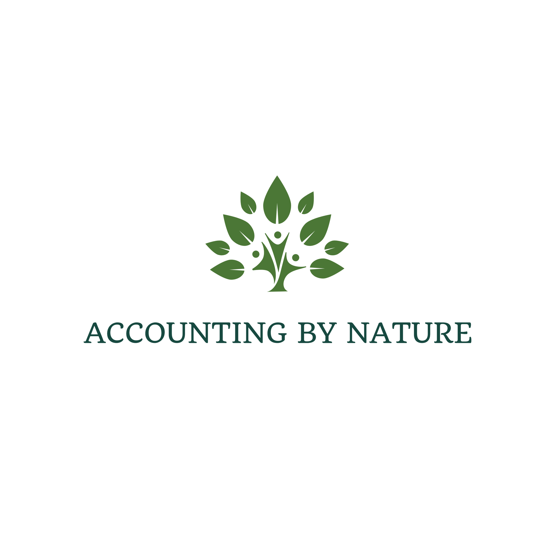 Accounting By Nature