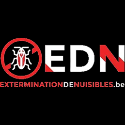 SRL EDN Group