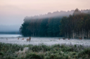 Hunting Lodge