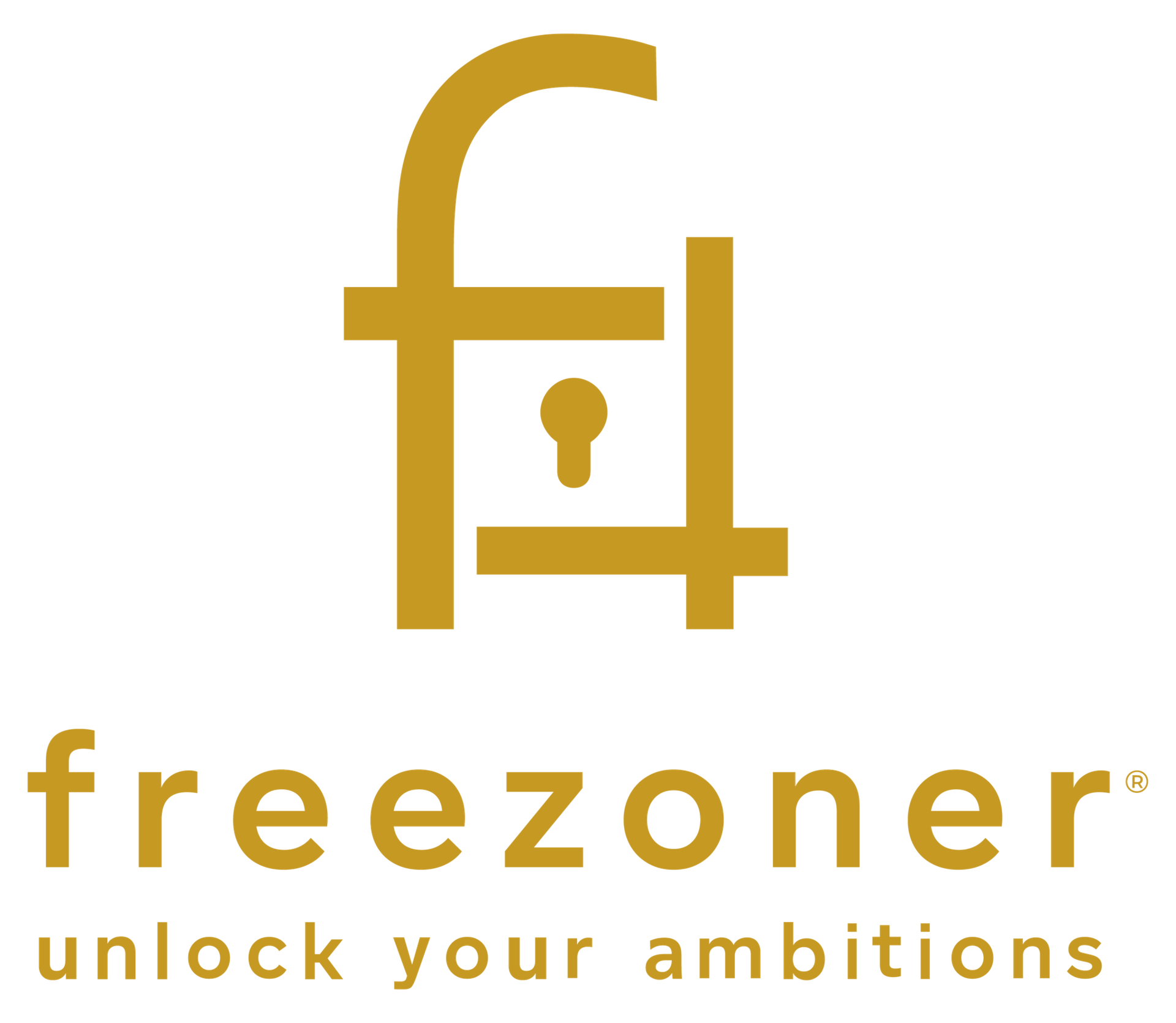 FREEZONER CORPORATE SERVICES PROVIDER