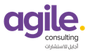 Agile Consulting