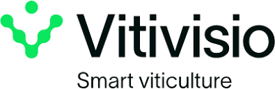 Vitivisio