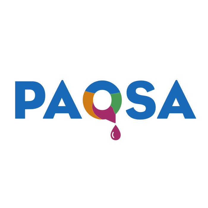 PAQSA SOLUCIONES