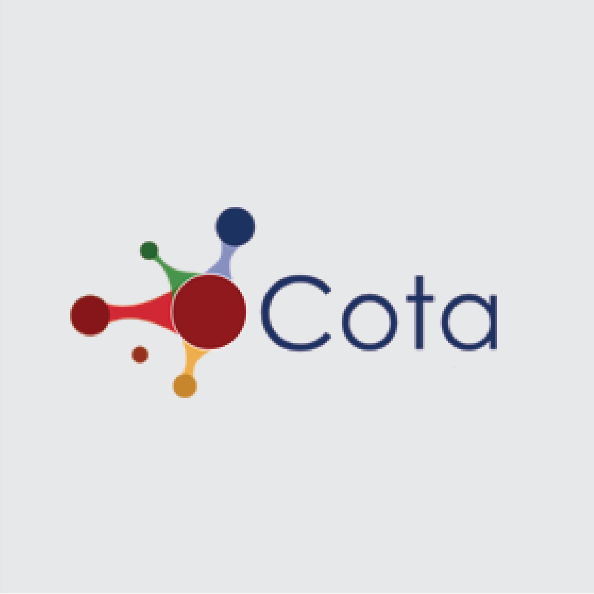 COTA SERVICIOS Y PRODUCTOS TECNOLOGICOS