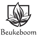 Beukers Hendrik