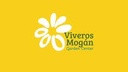Viveros Mogán SL - ESB76305333