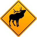 SPRL VINCENT BUCK