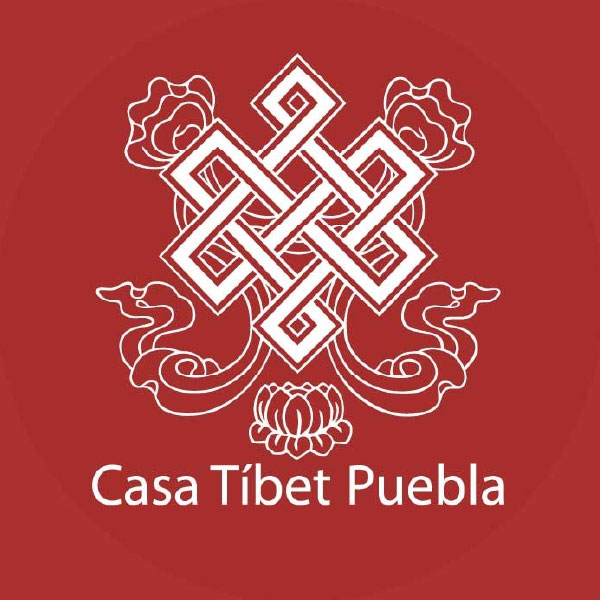 MARIA CECILIA BARCENA CULEBRO