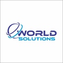 WORLD SOLUTIONS LAER