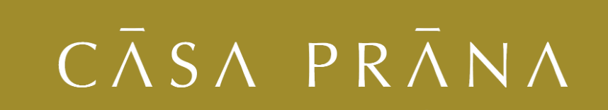 CASA PRANA SA