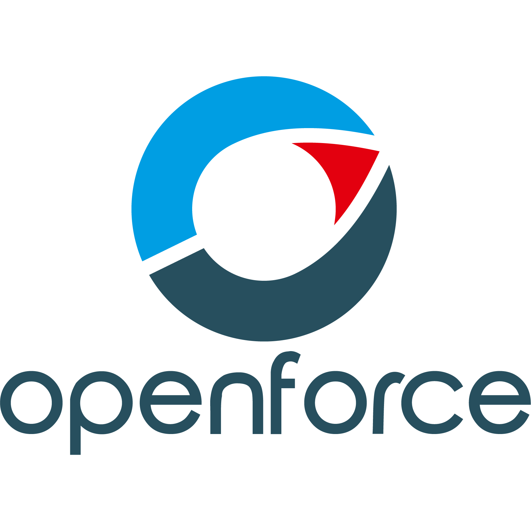 Openforce srl