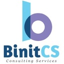 BINIT CONSEIL ET SERVICES FRANCE