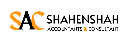 Shahenshah Accountants & Consultant, Ali Abbas