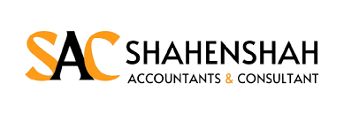 Shahenshah Accountants & Consultant, Ali Abbas