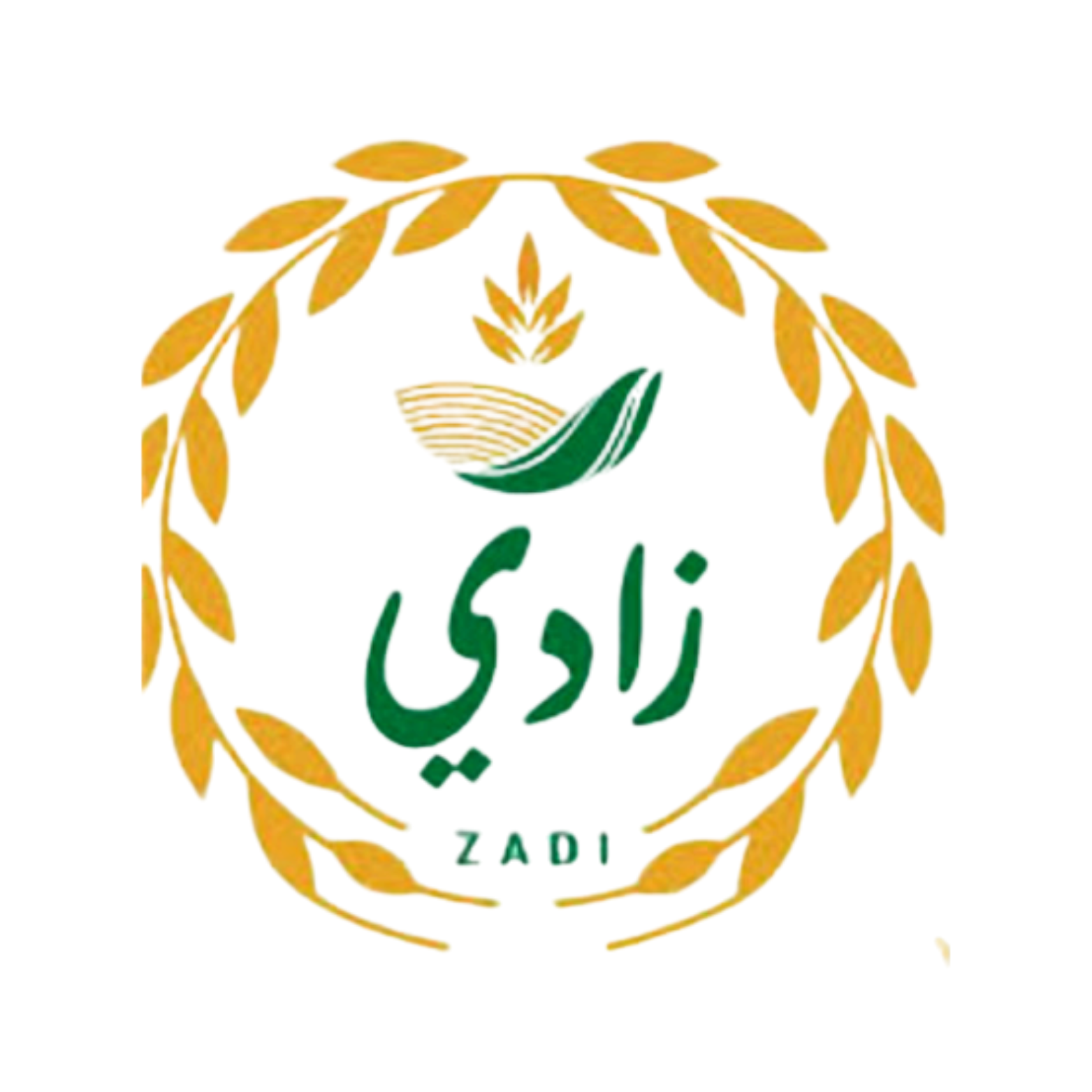 شركة زادي للتجارة و المقاولات المحدودة