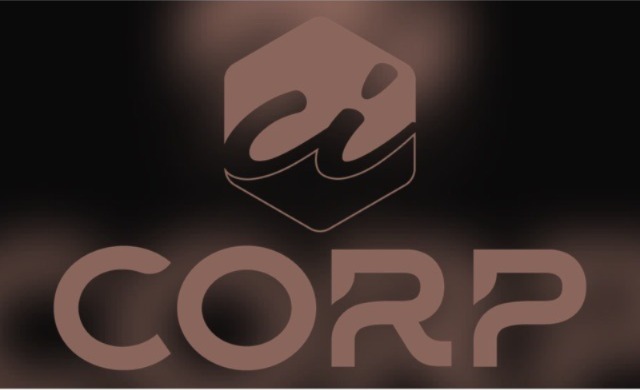 Ci CORP India PVT LTD