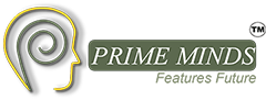 Prime Minds Consultancy Services
