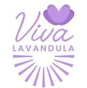 Viva-Lavandula