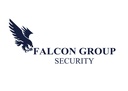Falcon Security