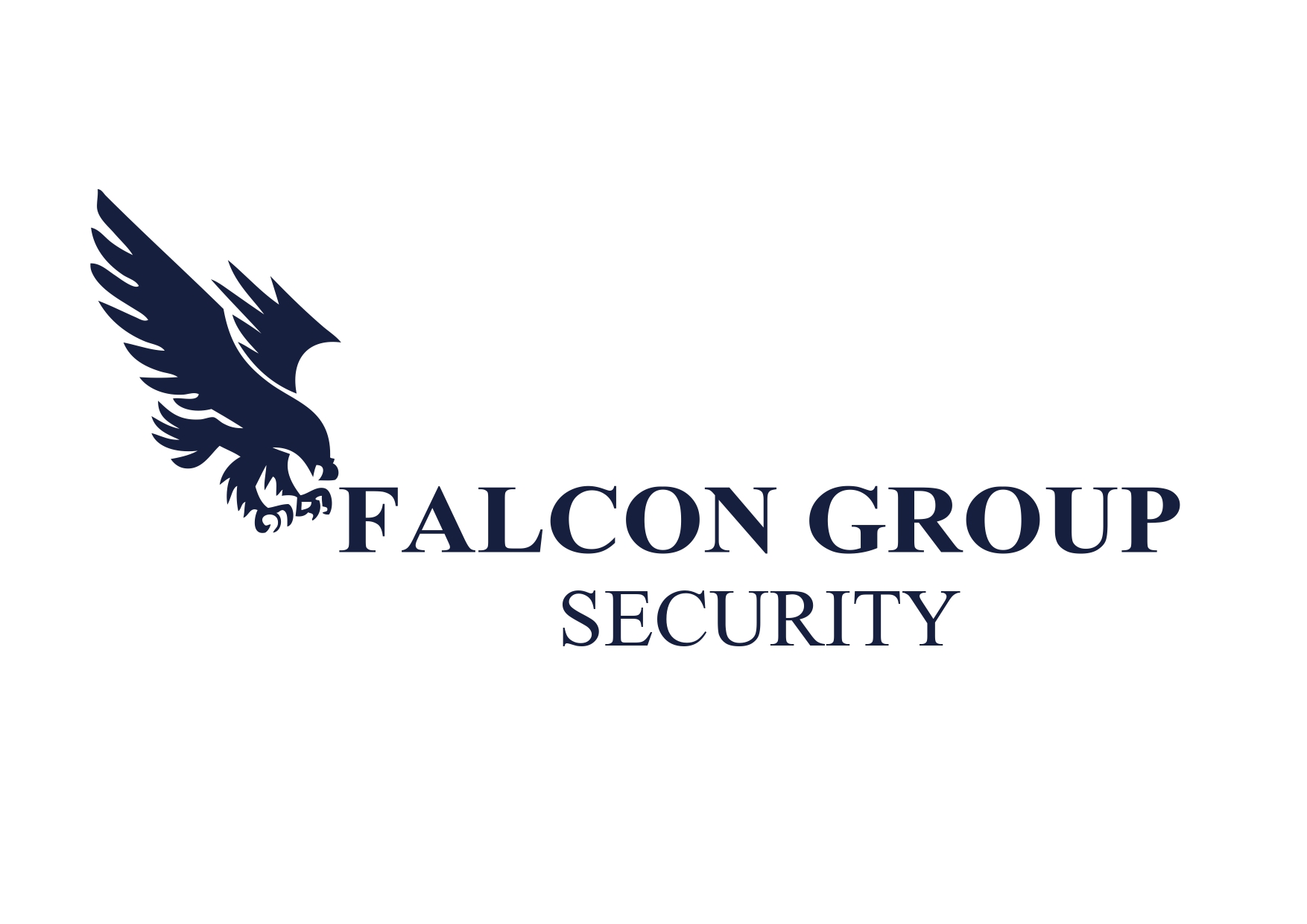 Falcon Security