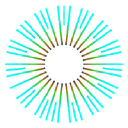 Focus Eye Clinic