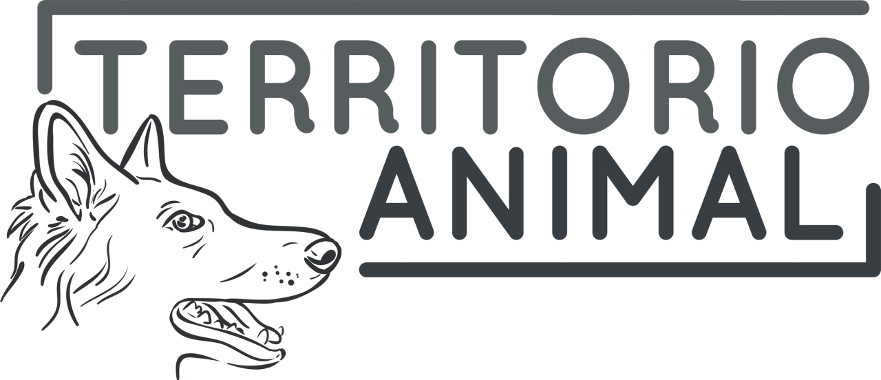 BLANCA ESTHER AVELLÁN ALCANTUD