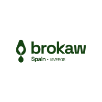 Brokaw España S.L
