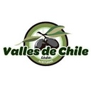 Alimentos e Inversiones Valles de Chile