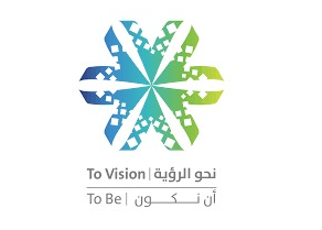 شركة نحو الرؤية