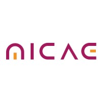 Micae Elektronik Yazılım Hizmetleri San. Tic. A.Ş.