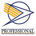 Professional Central Management