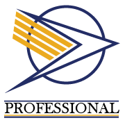 Professional Central Management