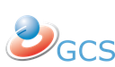 Globe Consultancy & Services B.V.