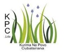 Kurima Ne Povo Limitada, Arthur Chikara