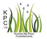 Kurima Ne Povo Limitada, Arthur Chikara