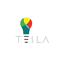 Tesla Co. LTD