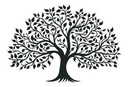 Fundación Arbol de Vida
