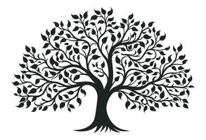 Fundación Arbol de Vida