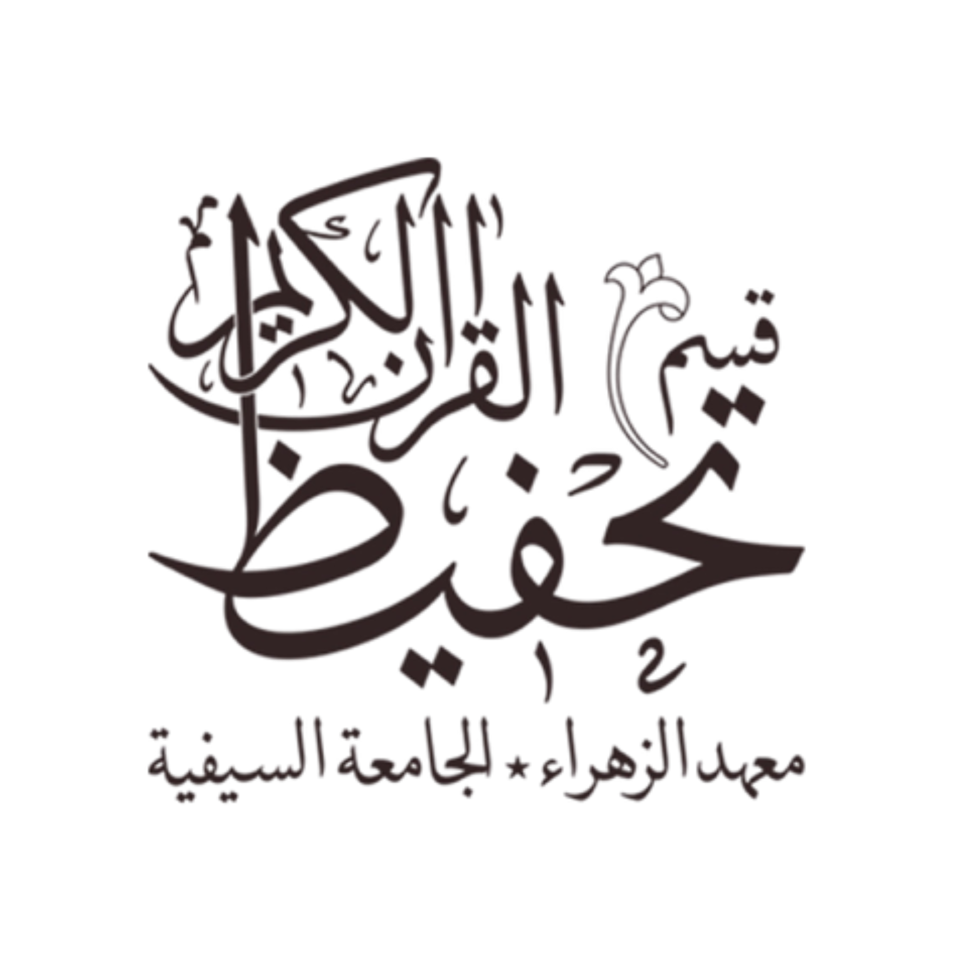 Qism al-Tahfeez, Shabbir Haider