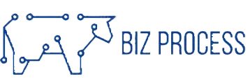 Biz Process Pro