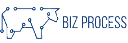 Biz Process Pro