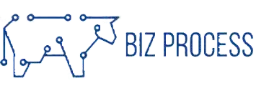 Biz Process Pro