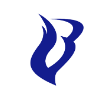 IBURN55, C.A., IBURN55, C.A.