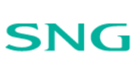 S N G Resources General Trading Co. L.L.C