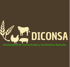 Inversiones FUSA S de R.L