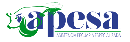 Apesa