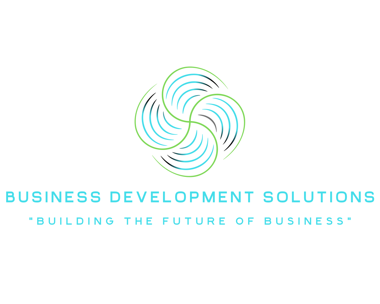 Business Development Solutions