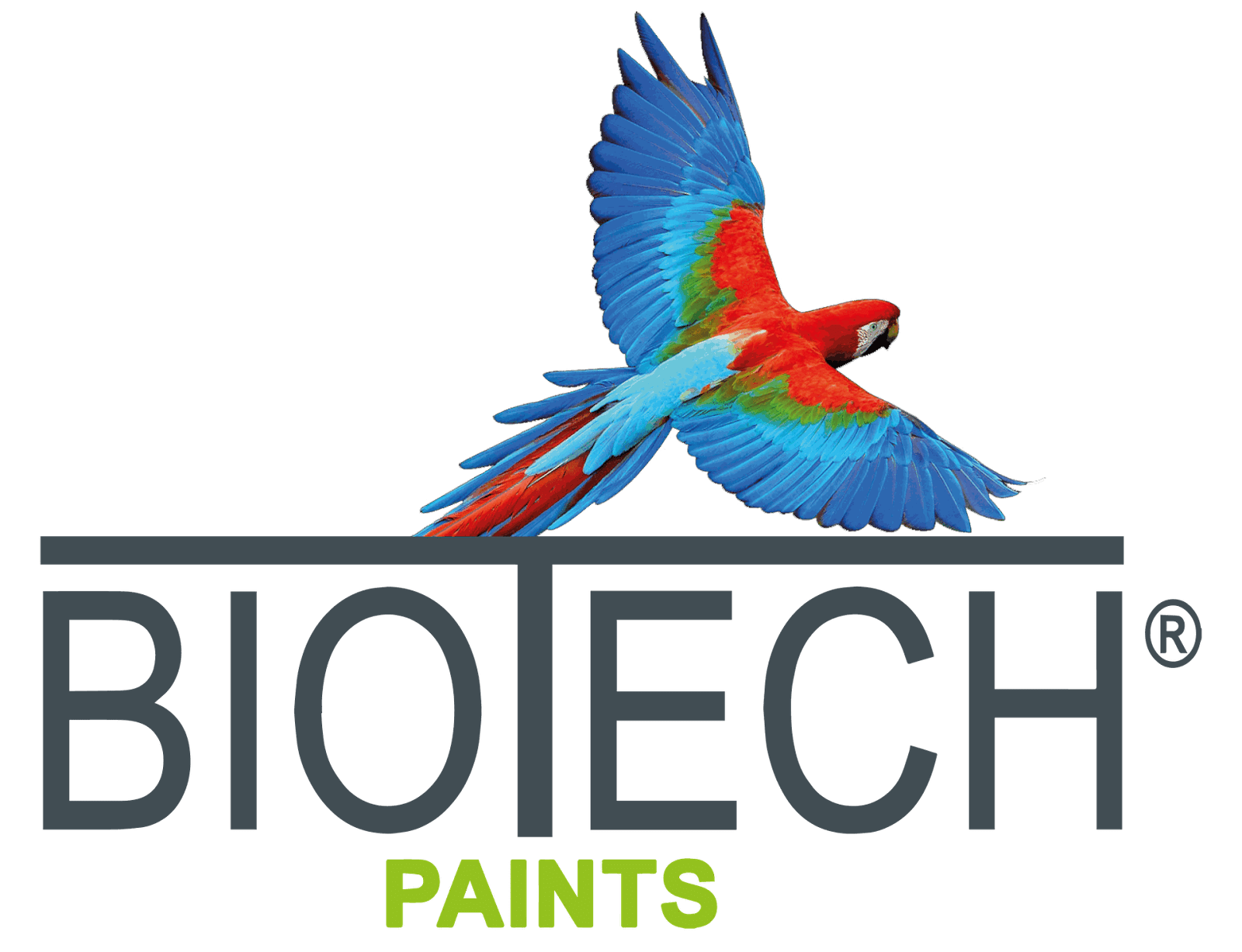 Pinturas Biotech, S.A. | Odoo
